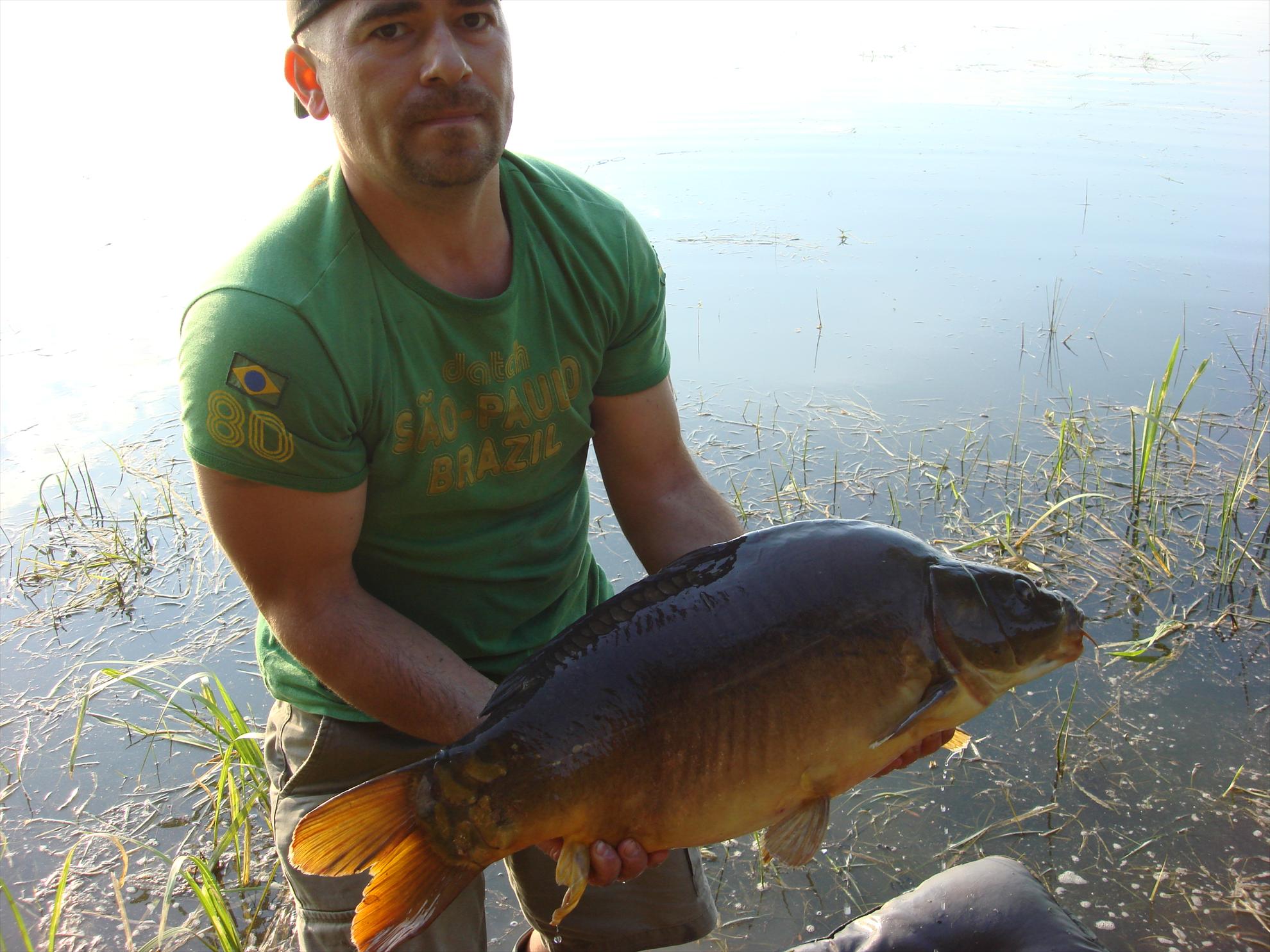 Cetariu Mai 2013 - dsc06098.JPG